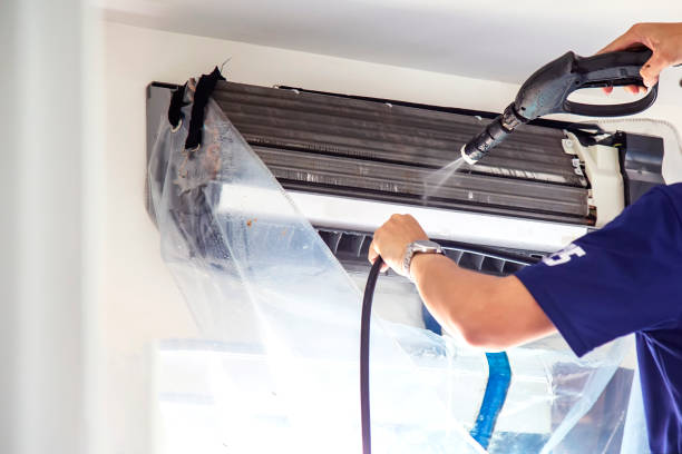 Air Duct Mold Removal in Schleswig, IA