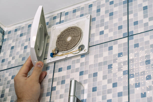 Best Local Air Duct Cleaning Services  in Schleswig, IA