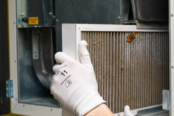 Best Ductwork Cleaning Services  in Schleswig, IA