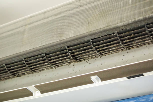 Best General Air Duct Cleaning  in Schleswig, IA