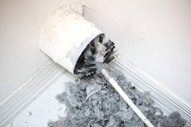 Best Residential Air Duct Cleaning  in Schleswig, IA