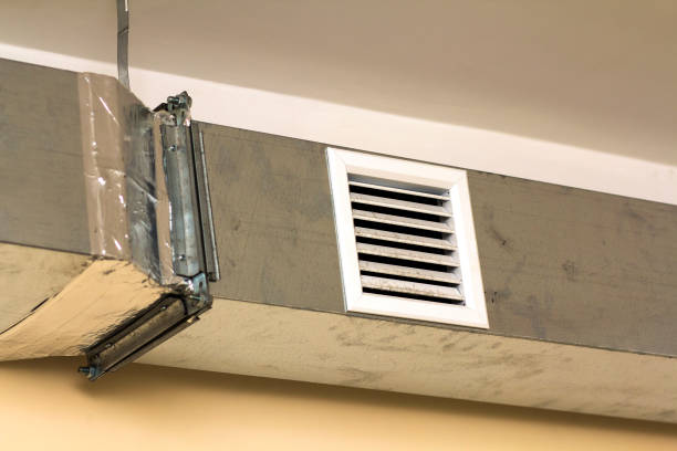 Best HVAC System Cleaning  in Schleswig, IA